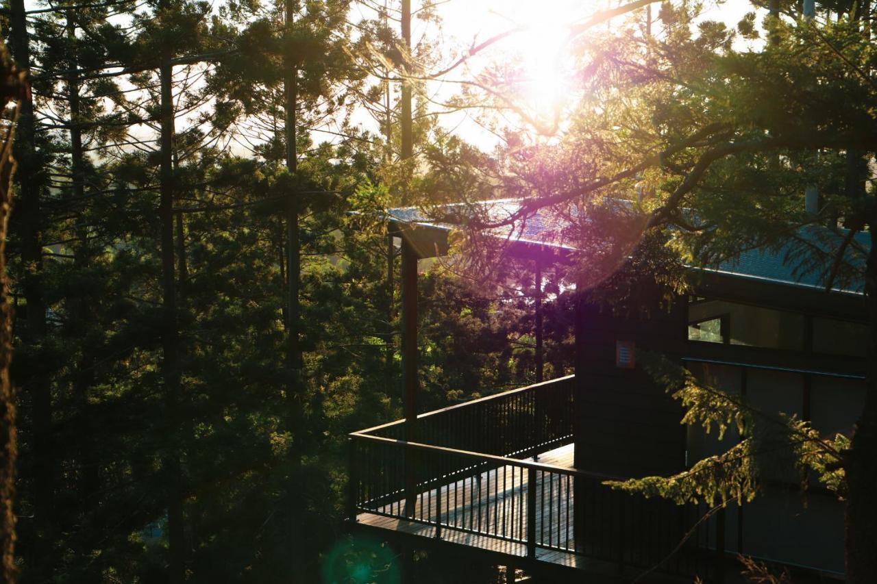 Rainforest Gardens - Luxury Hillside With Views To Bay & Islands Apartment