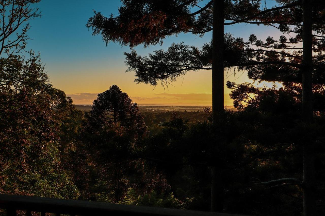 Rainforest Gardens - Luxury Hillside With Views To Bay & Islands Apartment *