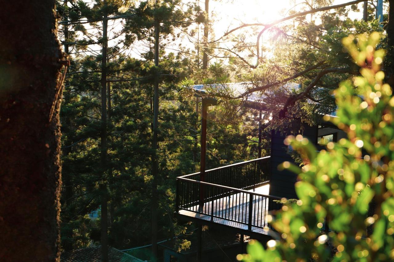 Rainforest Gardens - Luxury Hillside With Views To Bay & Islands Apartment Mount Cotton