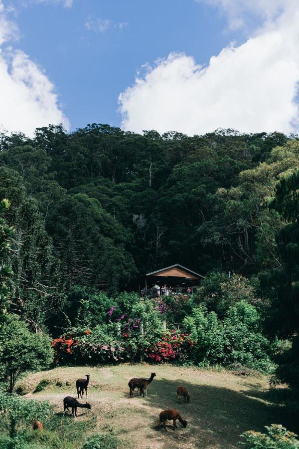 Apartment Rainforest Gardens - Luxury Hillside With Views To Bay & Islands Mount Cotton