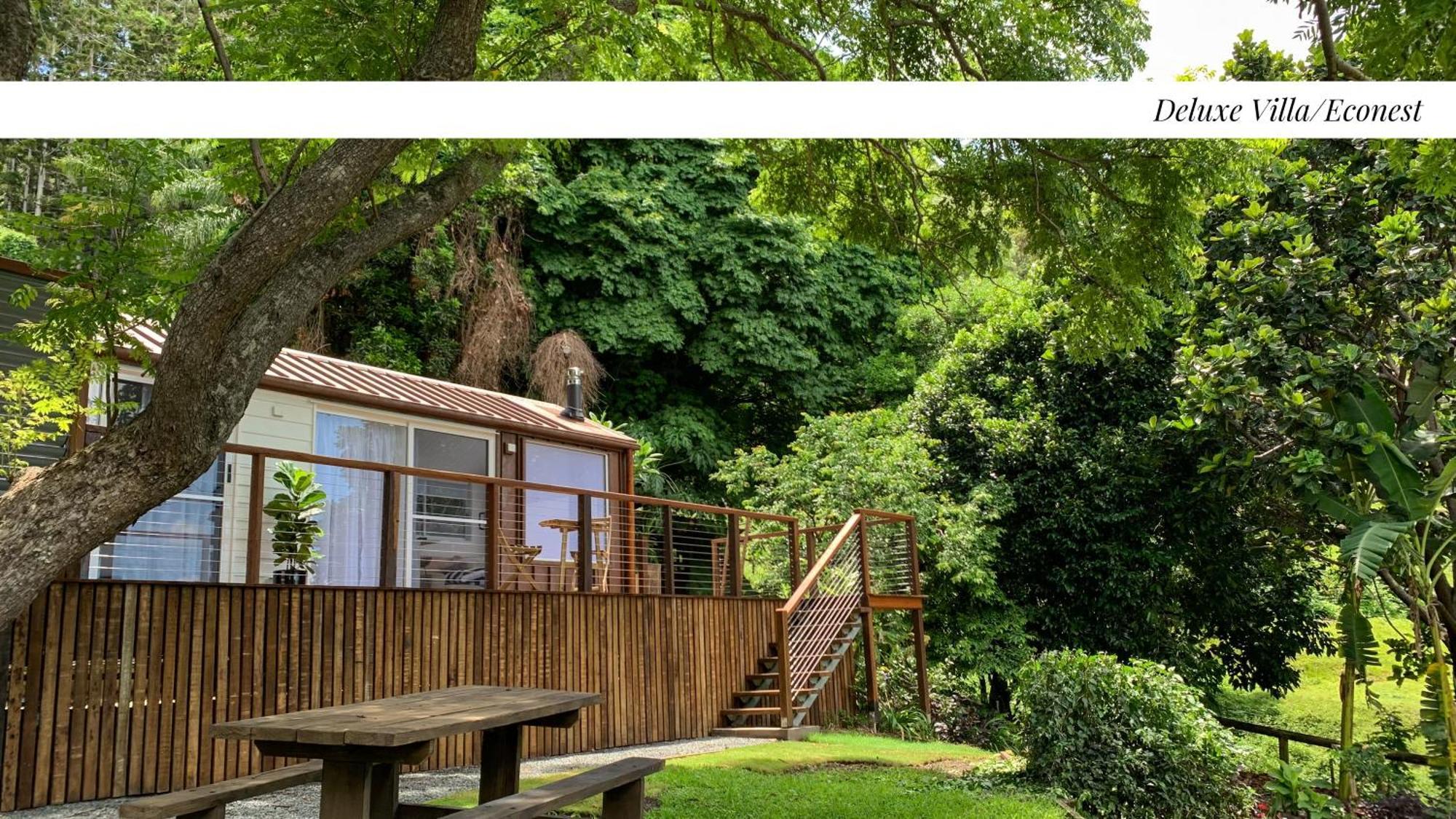 Rainforest Gardens - Luxury Hillside With Views To Bay & Islands